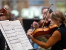 Fotografía Artigas Pessio